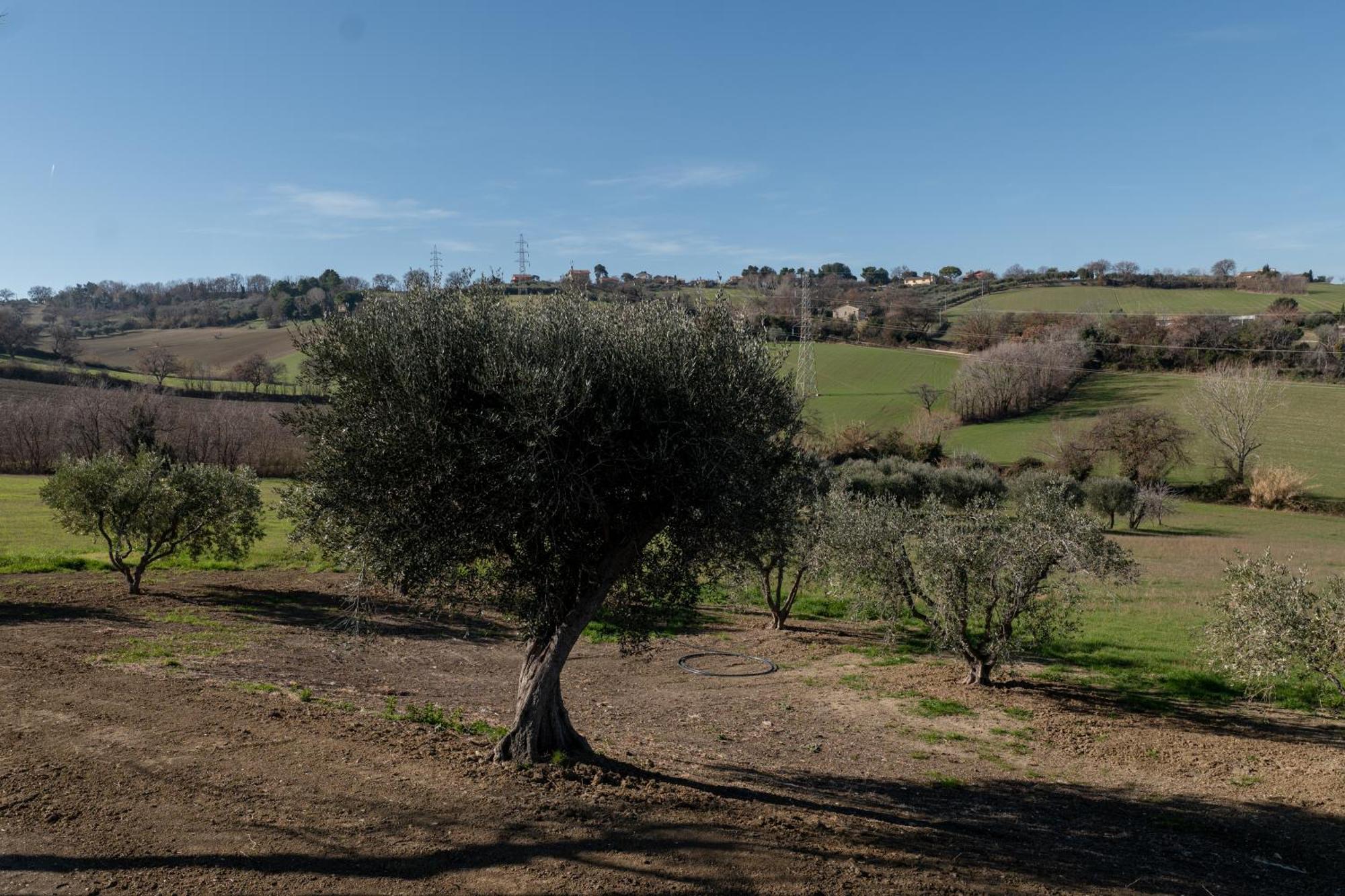 Casa Addis B&B Scapezzano Exteriér fotografie